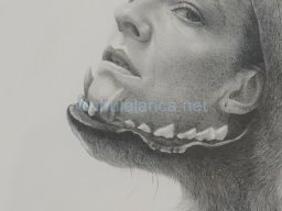 Exposición el tiempo de la Crisálida